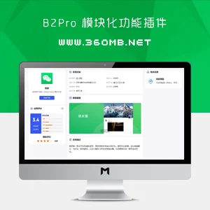 B2Pro主题增强|软件下载样式扩展(模块化功能插件)